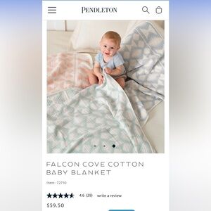 Falcon cove Pendleton baby quilt